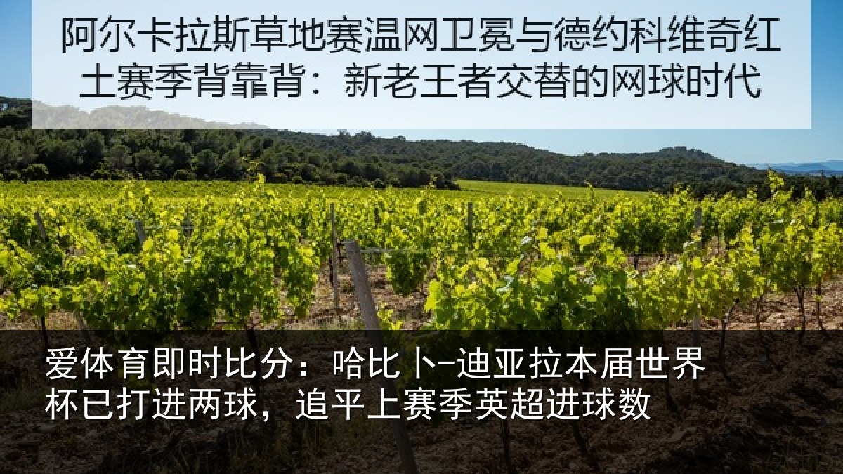 爱体育即时比分:哈比卜-迪亚拉本届世界杯已打进两球,追平上赛季英超进球数
