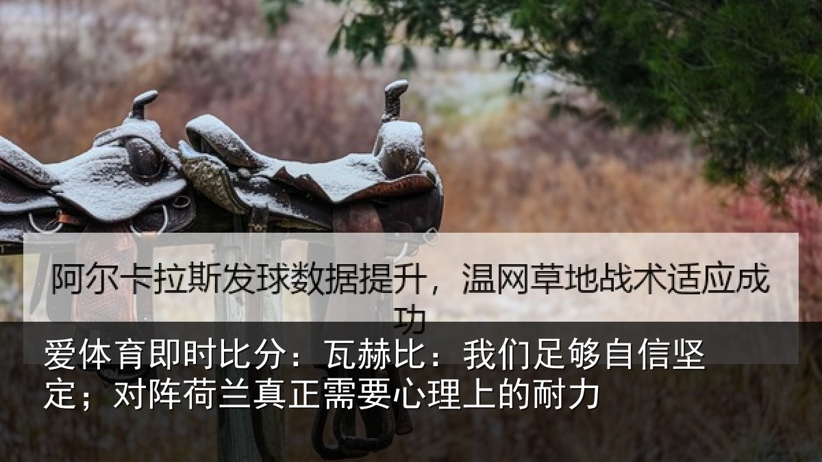 爱体育即时比分：瓦赫比：我们足够相关情况真正相关情况